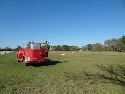Vintage fire engine parked in a green pasture at Bear Creek Pioneers Park  