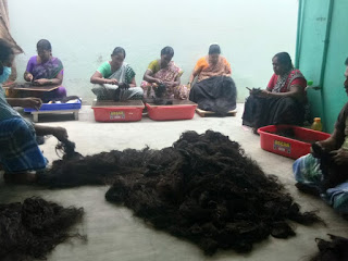   Human Hair exporters  Tirupati