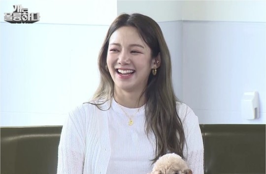 Watch Snsd Hyoyeon S Dogs Are Incredible Episode Wonderful Generation