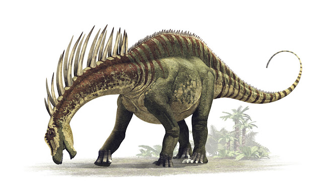Amargasaurus cazaui