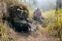 Pendakian Gunung Arjuno Via Cangar Sumber Brantas