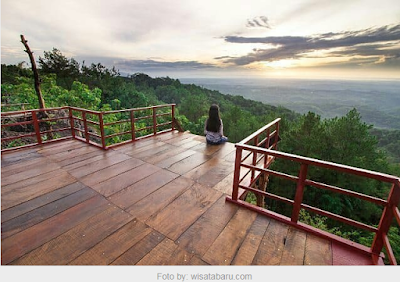 10 Spot Hunting Foto Keren Hutan Pinus Asri Karangasem | anekawisataindonesia.com