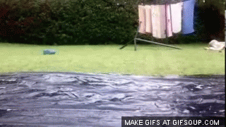 tattm.gif