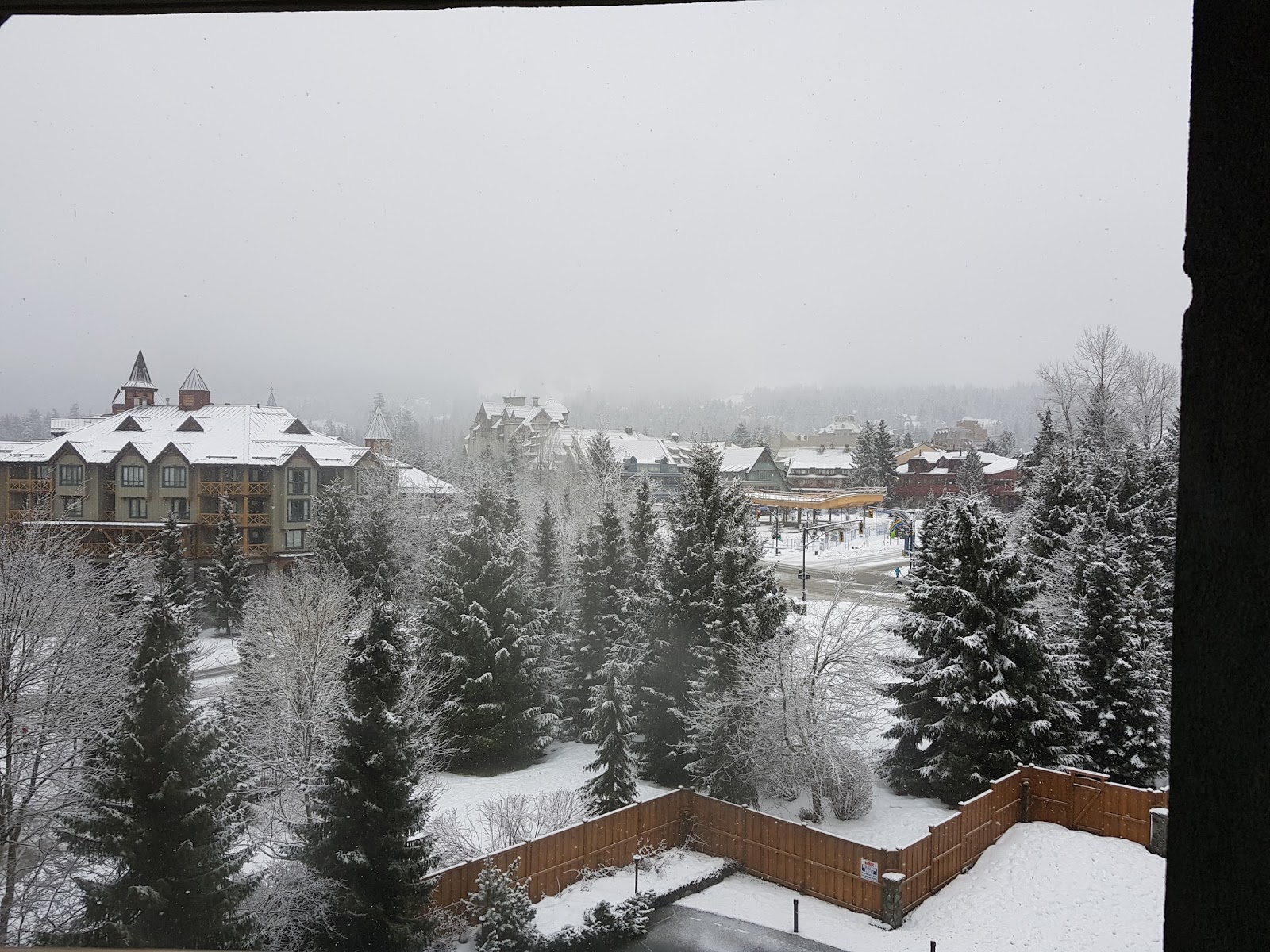 Dulcineasdiarycontinued Tuesday 23rd January 2018 Day 5 In