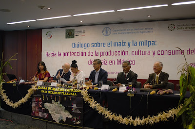 Viable, alcanzar la autosuficiencia en maíz: subsecretario Víctor Suárez Carrera