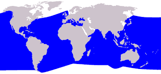 Cuvier gagalı balinası dağılım haritası