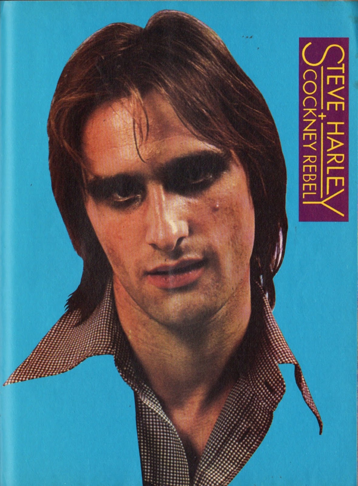 SIXTIES BEAT Steve Harley