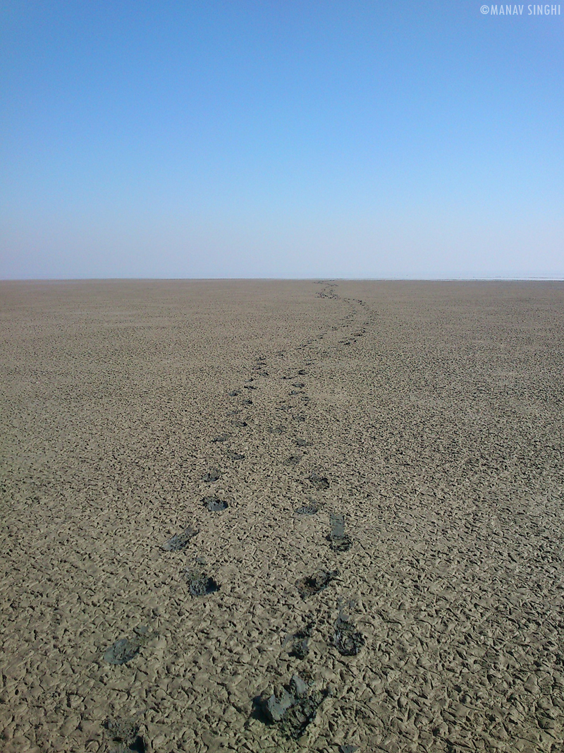 Once Went there after the rains It was all Muddy.