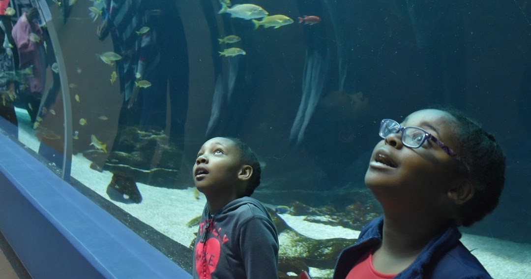 10 Things to Do in Atlanta This Labor Day Weekend