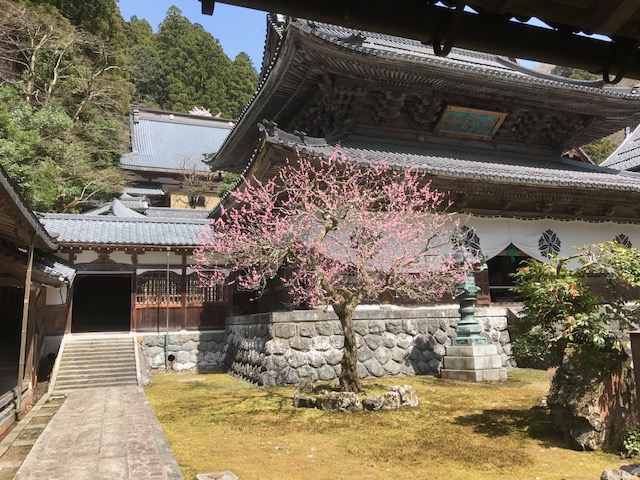 曹洞宗 輪蔵山 西興寺大本山永平寺 第八十世貫首 南澤道人猊下 晋山開堂式礼