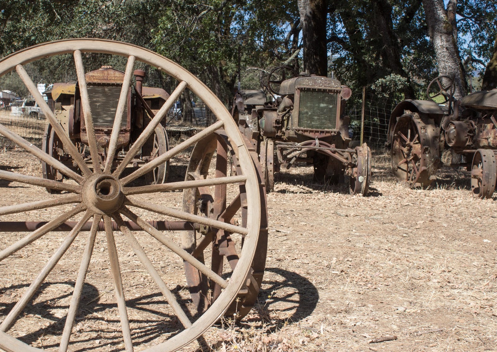 Good Craic from Jackass Creek Small Town, Big Hearts and