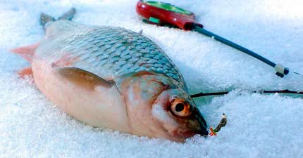 Безнасадочная мормышка «Нимфа»