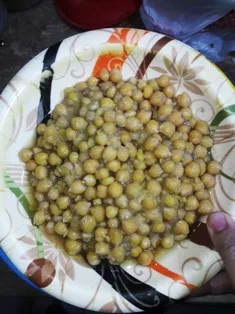 boil-the-chickpeas