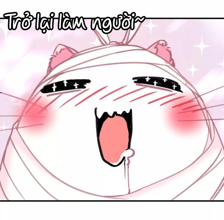 Đọc truyện Thế giới của một chú mèo - Chapter 3