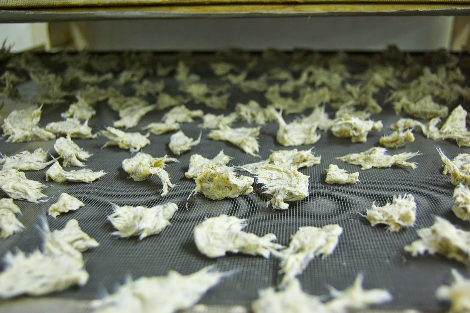 Draw what you see I'm making spanish moss paper... from moss.