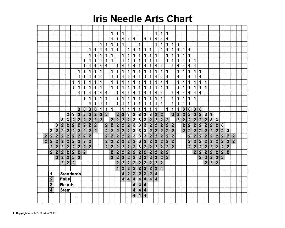 Irises Nature's Living Rainbows Cuttings from Annake's Garden
