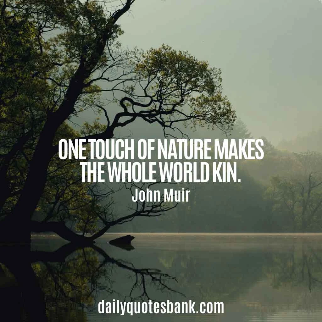 John Muir Quotes About Mountains, Trees, Nature, Alaska