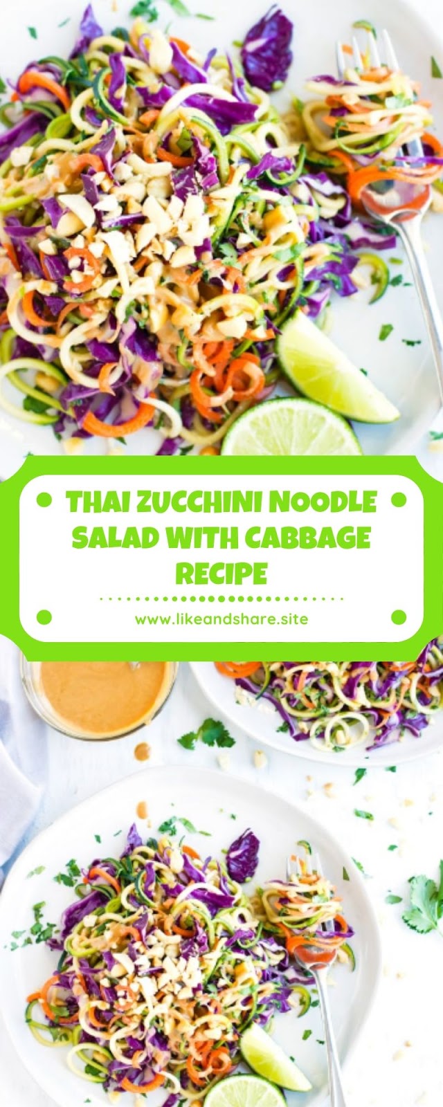 THAI ZUCCHINI NOODLE SALAD WITH CABBAGE RECIPE THAI ZUCCHINI NOODLE SALAD WITH CABBAGE RECIPE