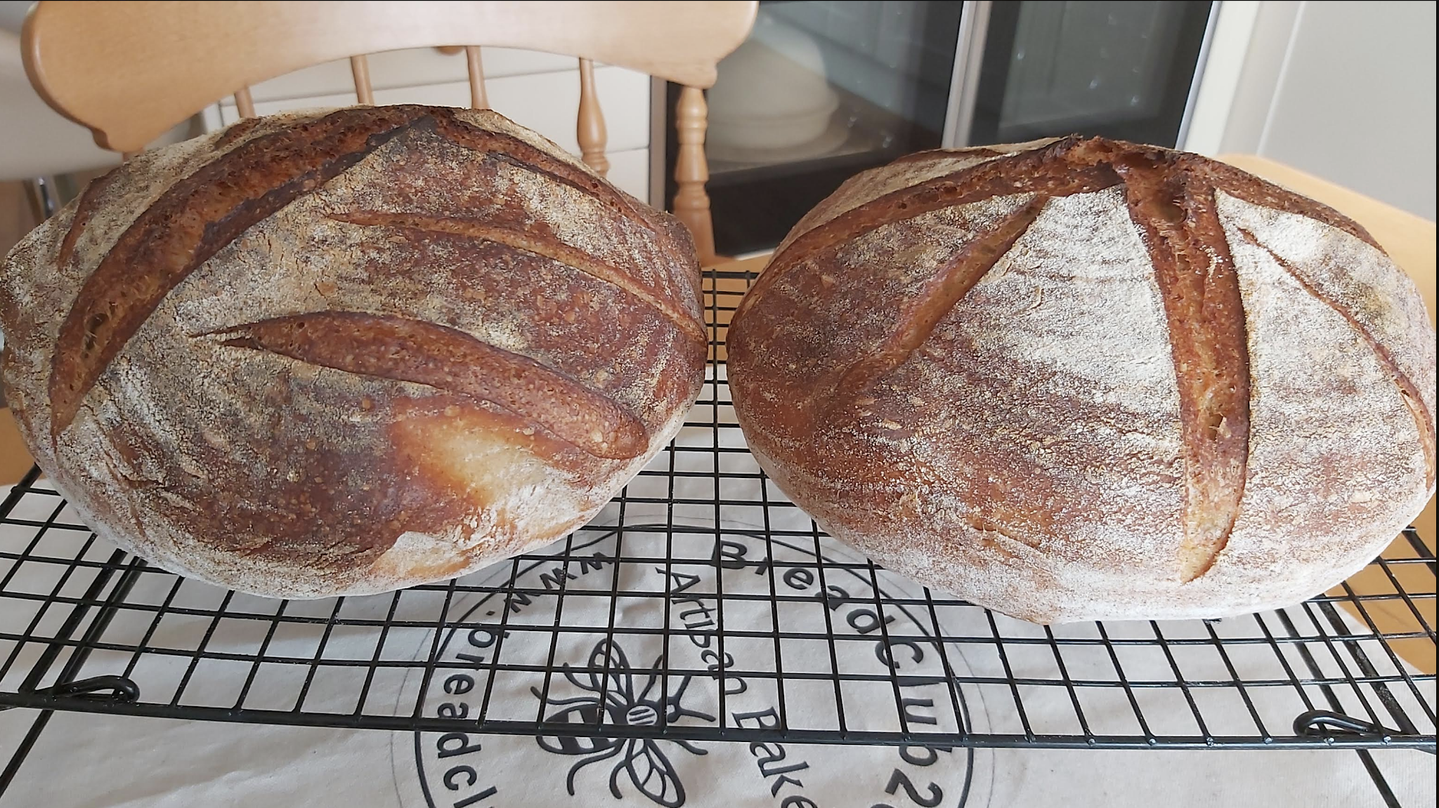 Followed the Full Proof Baking process - best rise yet : r/Sourdough