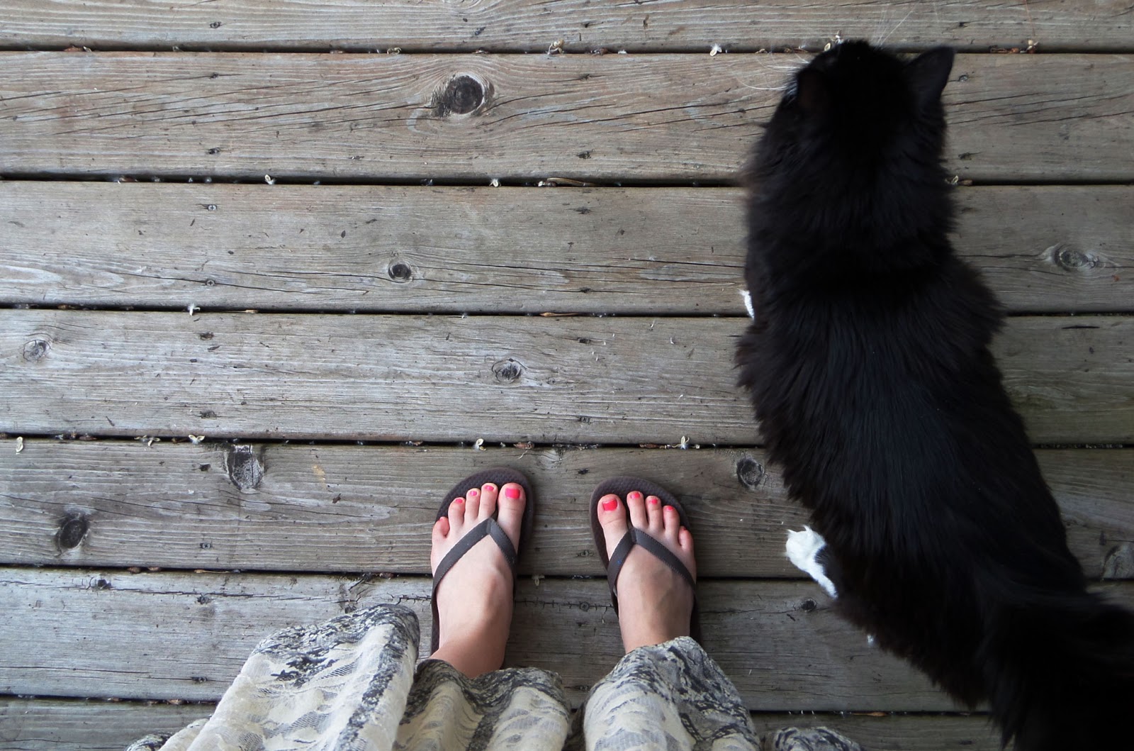 You're In Brookelynn: New Camera Part 1: the Samsung WB200 Smart Camera!