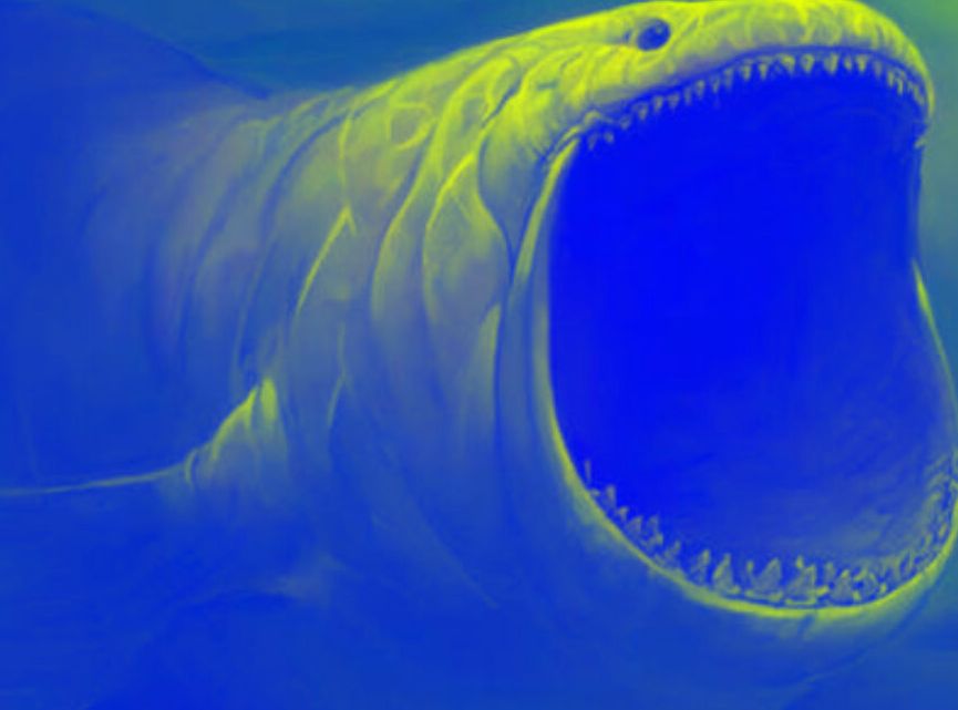 Doa Yang Dipanjatkan Nabi Yunus Ketika Didalam Perut Ikan Adalah Sbb Perjalanan Do A