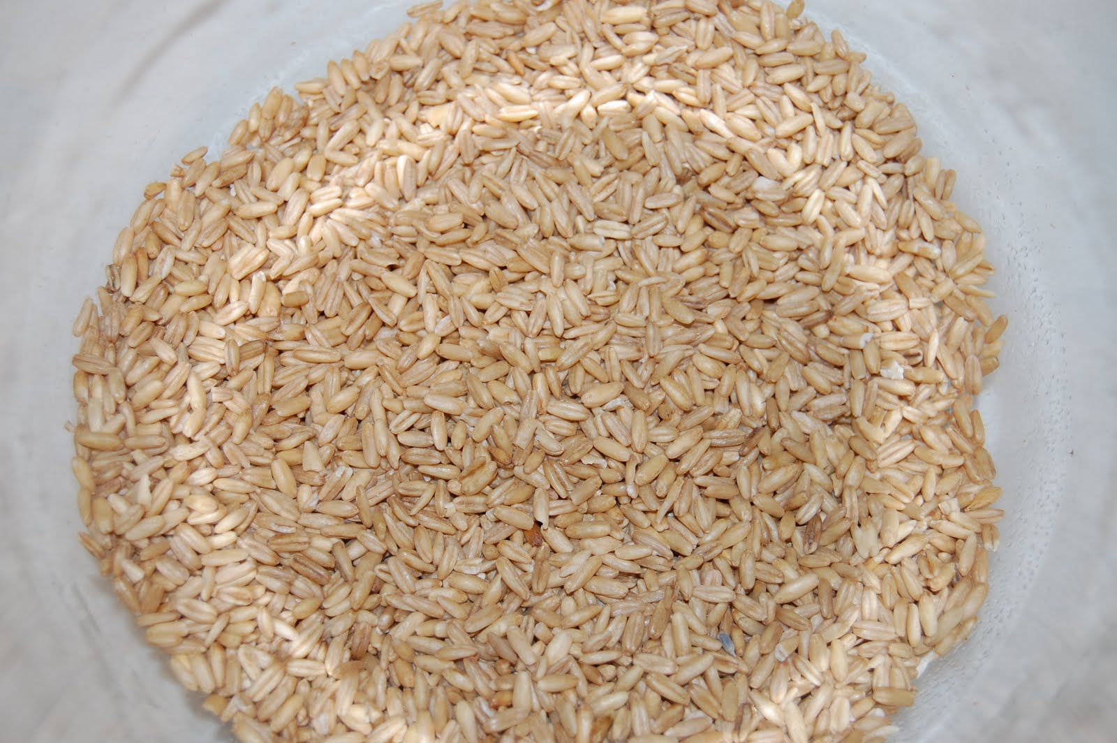 en route to nowhere Whole Oat Groats