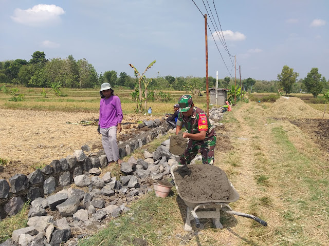 Dorong Sektor Pertanian, Babinsa Bangun Saluran Irigasi Dorong Sektor Pertanian, Babinsa Bangun Saluran Irigasi