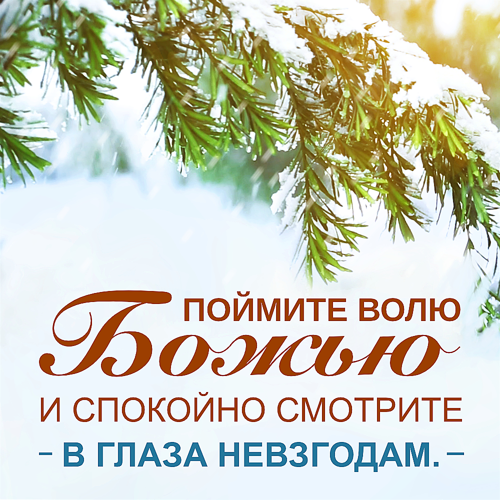 Церковь Всемогущего Бога | Изображение | Поймите волю Божью и спокойно смотрите в глаза невзгодам