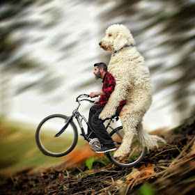 09-No-Brakes-Christopher-Cline-Juji-The-Giant-Dog-Photo-Manipulations-www-designstack-co