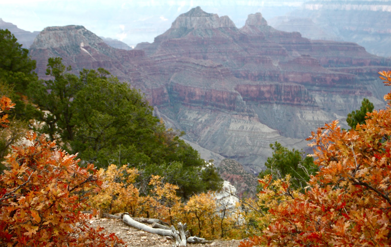 One Day in America Autumn Along the Grand Canyon's North Rim