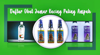 merk obat jamur kucing