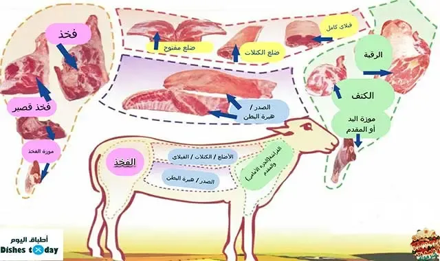 تقطيع لحم الخروف