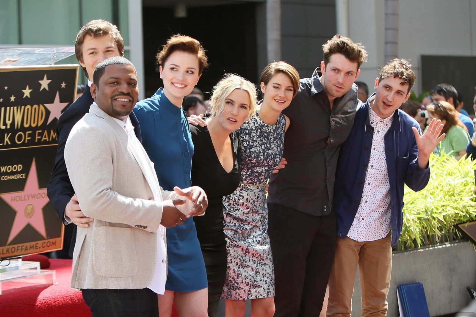 Les acteurs de divergente