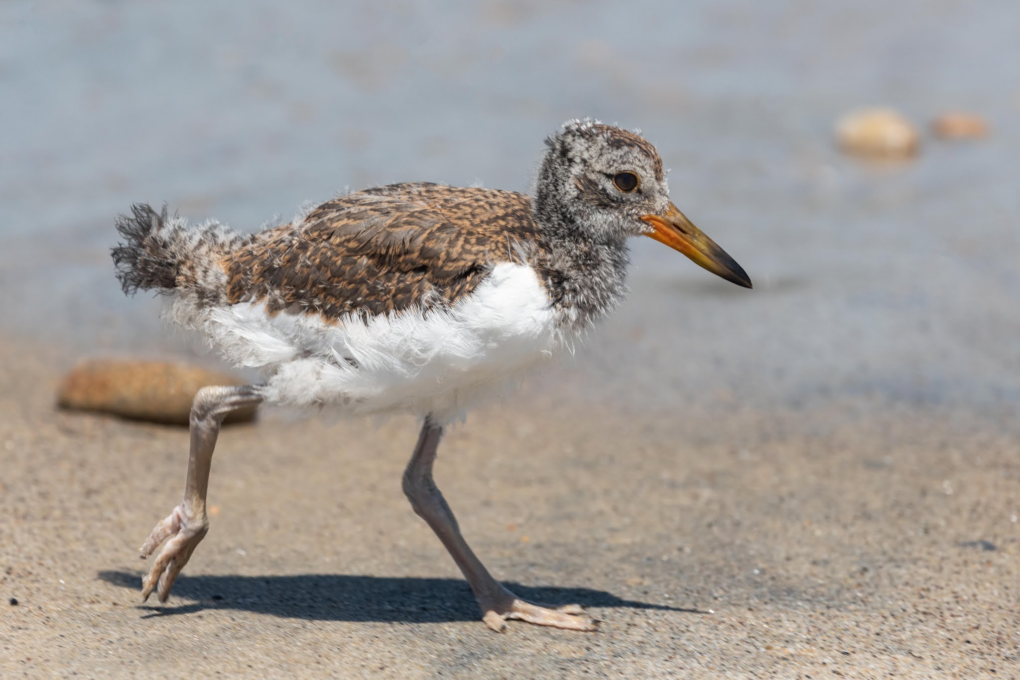 A Tale of Two Chemists