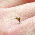 Ποια είναι τα ανησυχητικά συμπτώματα αν έχετε αλλεργία στο τσίμπημα κουνουπιού