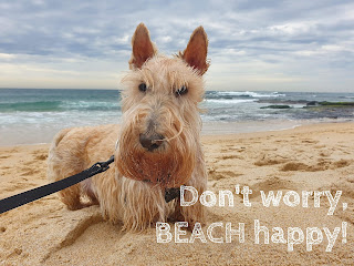 Don’t worry, BEACH happy!
