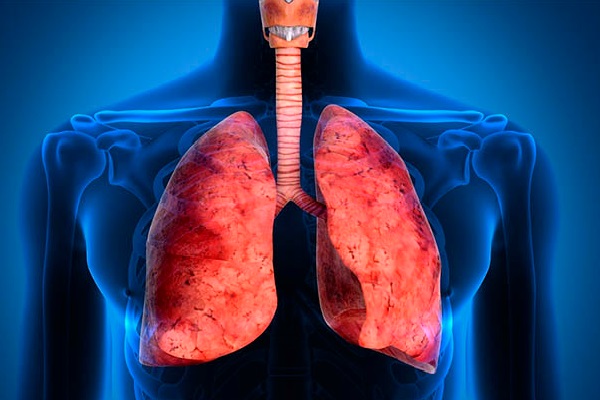 12 estratégias nutricionais para reverter doença pulmonar obstrutiva crônica 12 estratégias nutricionais para reverter doença pulmonar obstrutiva crônica