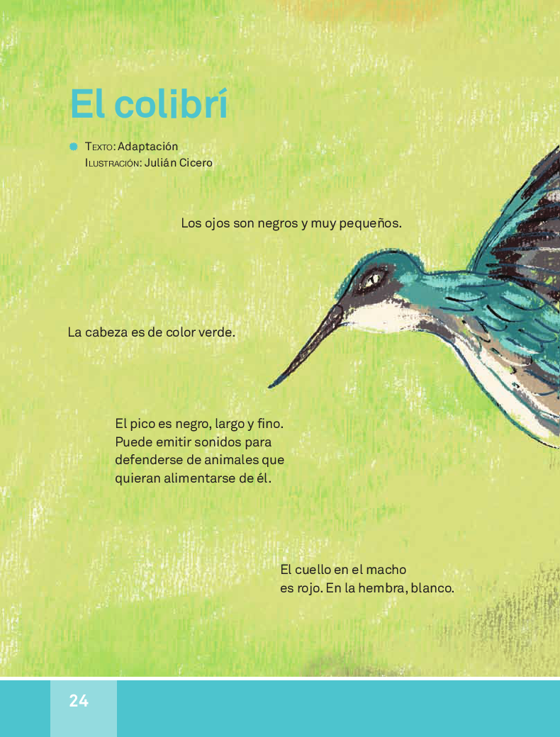 El colibrí - español lecturas 3ro 2014-2015