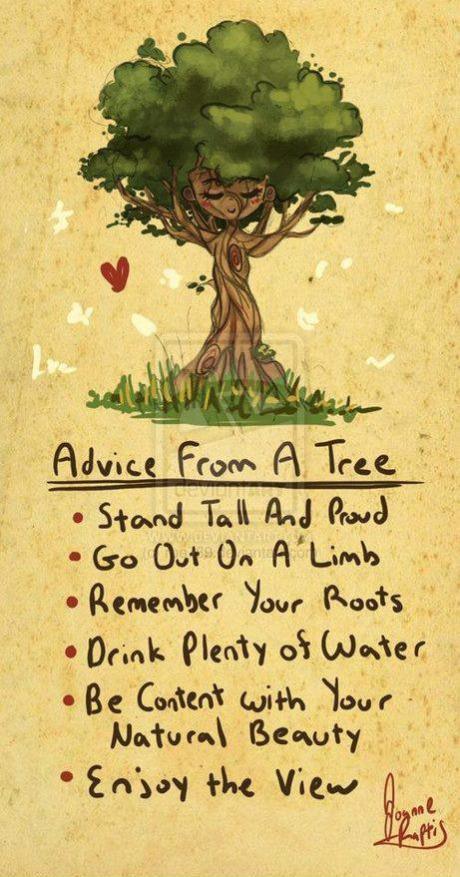 friday quotes live life like a tree  Ehmscapades