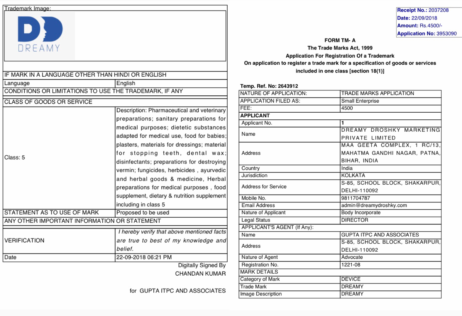 Dreamy droshky business plan pdf picture