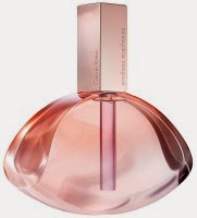 parfum euphoria calvin klein homme