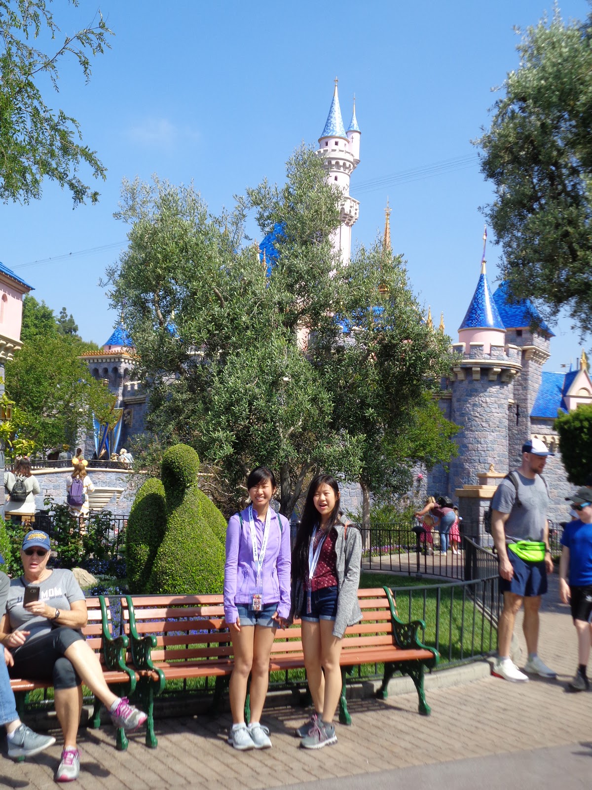 Thrifty Mom In Boise Disneyland!