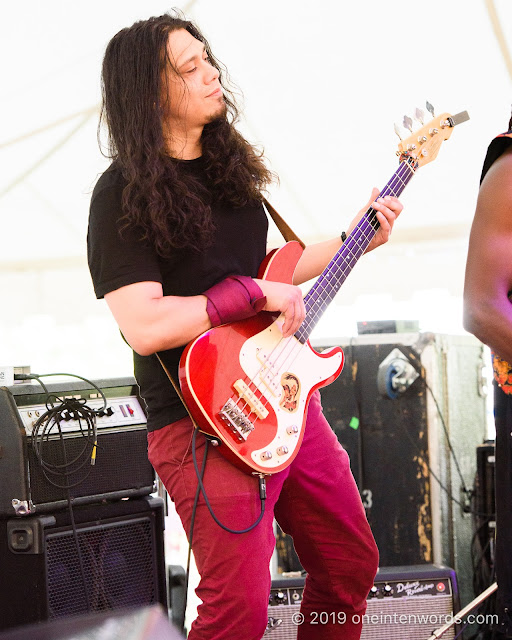 Alysha Brilla and the Brilltones at Hillside Festival on Saturday, July 13, 2019 Photo by John Ordean at One In Ten Words oneintenwords.com toronto indie alternative live music blog concert photography pictures photos nikon d750 camera yyz photographer