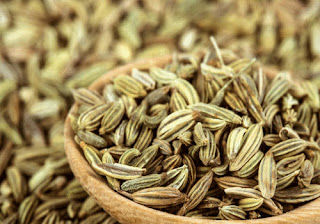 Fennel Seeds