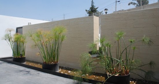 Taman Minimalis Alami, Yang Nyaman!