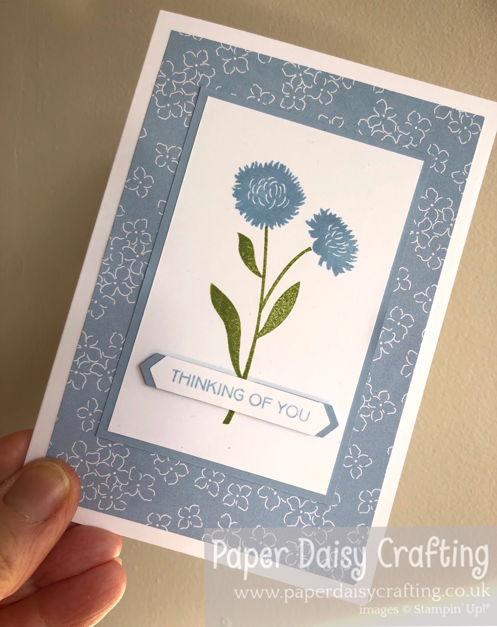 Paper Daisy Crafting: #40 Card Making for Beginners - #simplestamping ...