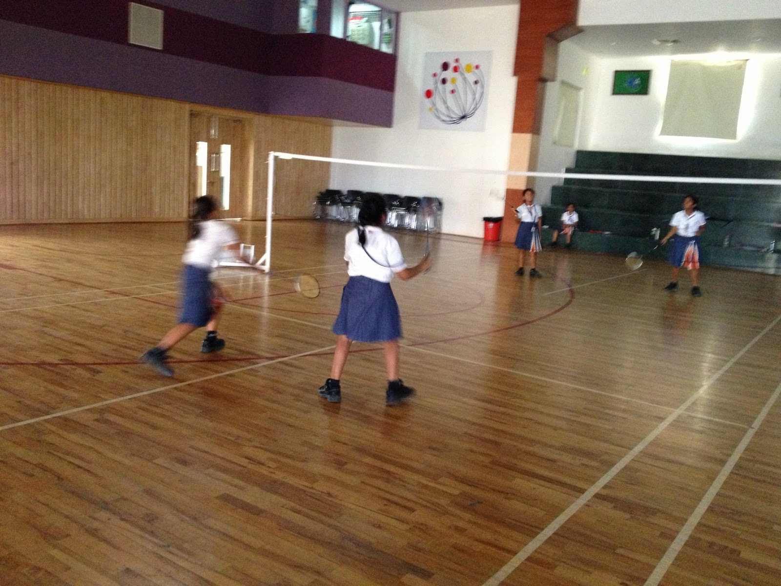 Badminton final essay picture