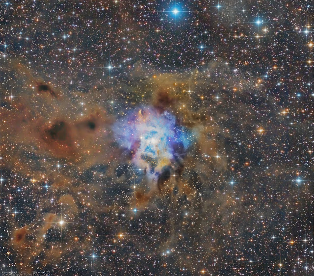 Mosaic image of The Iris Nebula, also known as NGC 7023 processed by Paul Swift using data collected by Carmelo Falco, Insight Observatory and the majority of the data by Paul himself.