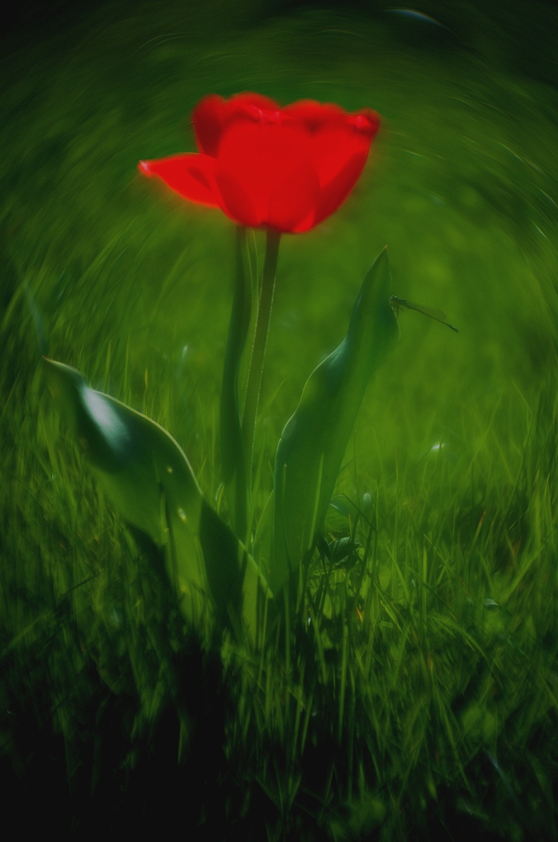 Osterspaziergang mit einer Wundertüte