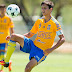 Damm destaca ataque de Tigres